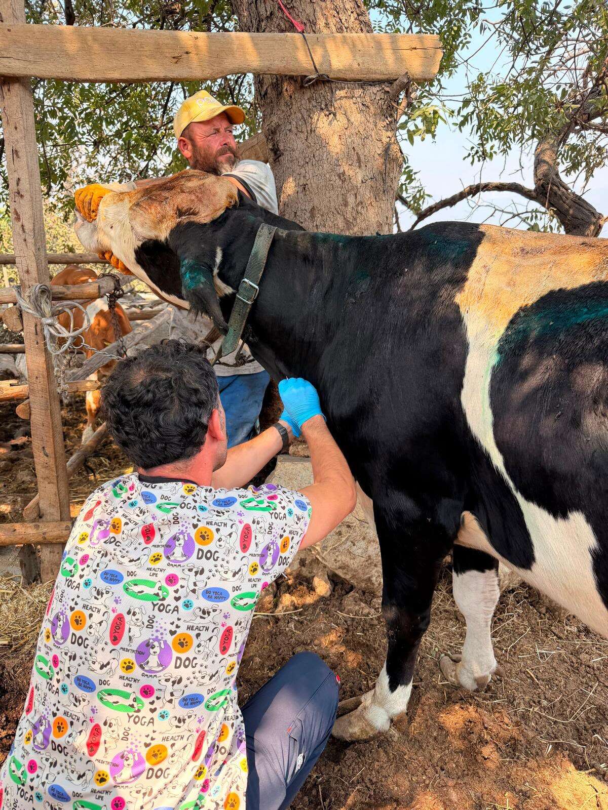 Muğla Büyükşehir Belediyesi, Seydikemer ve Fethiye’deki Yangınlara Tüm Birimleriyle Müdahale Ediyor 5